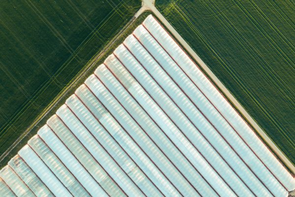 Greenhouses & Agriculture